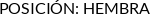 Atributos
